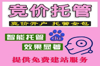 百度平台广告投放策略及成功案例分享